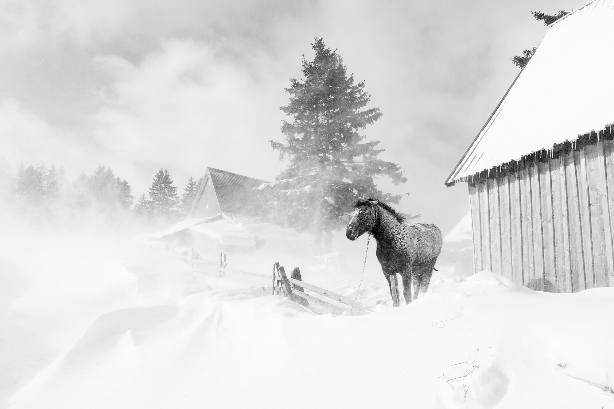 The Village