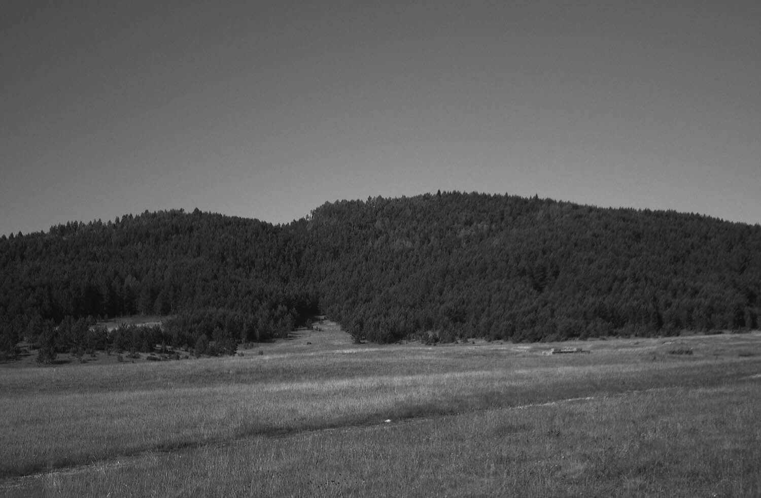 rcnx0033-(2).jpg