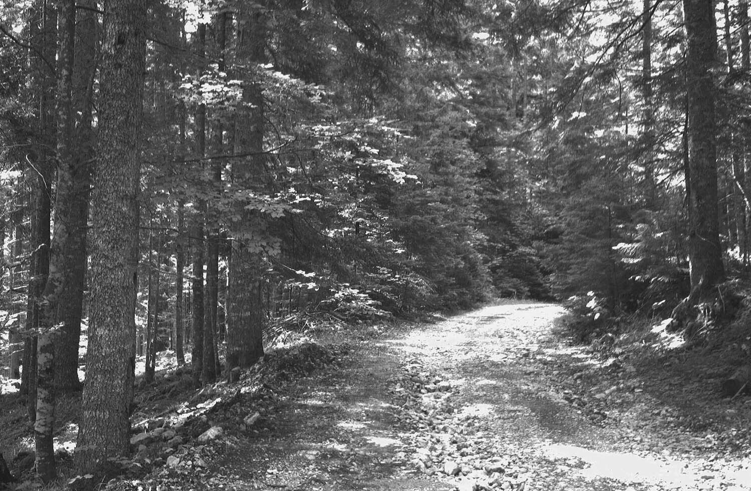 rcnx0042-(1).jpg
