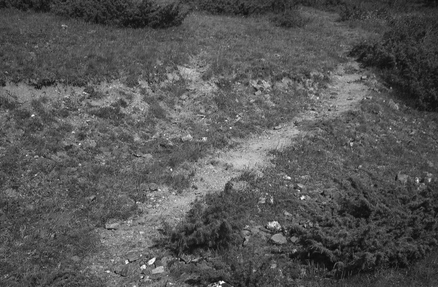 rcnx0052-(2).jpg