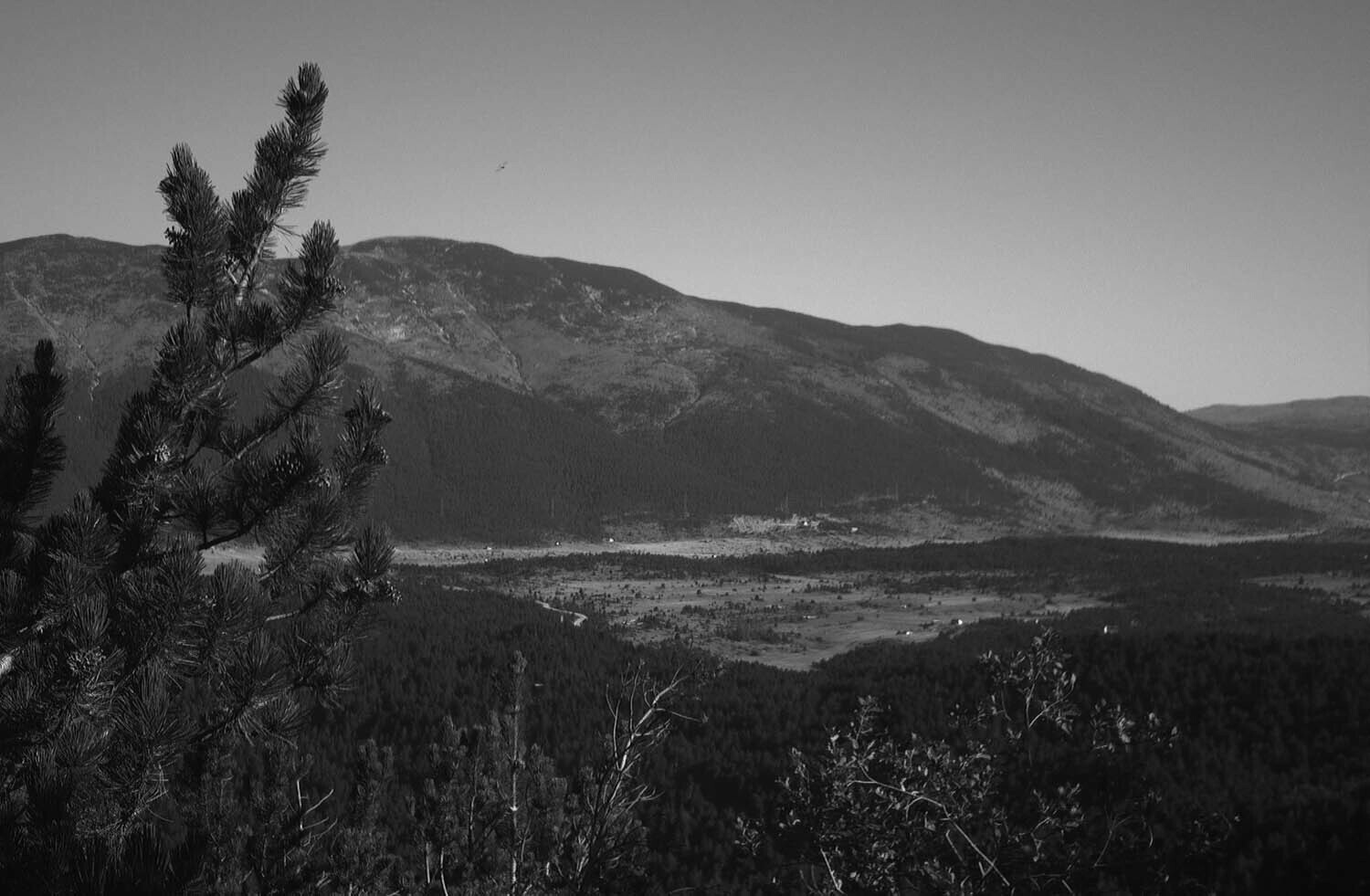 rcnx0055.jpg