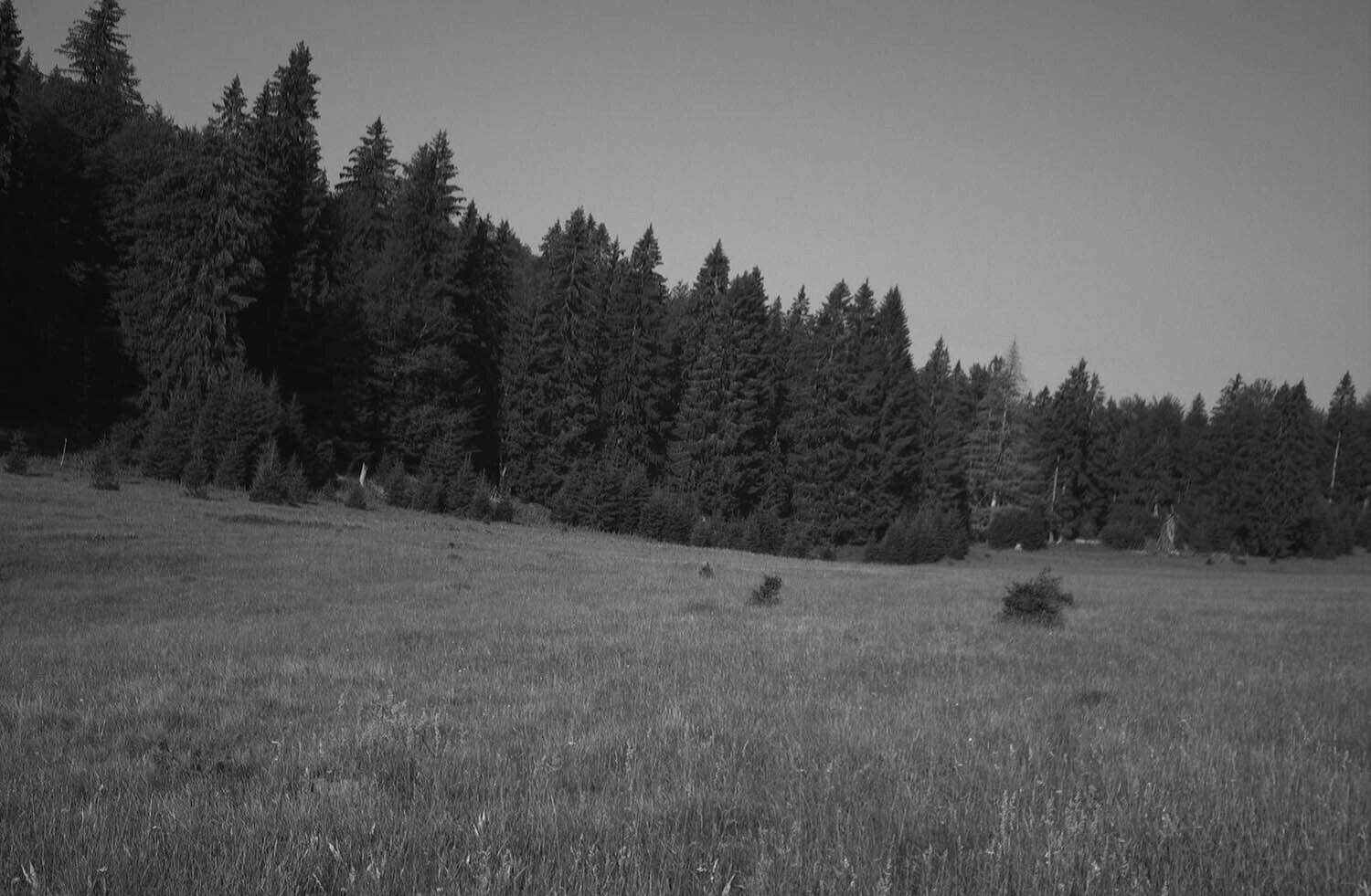 rcnx0059.jpg