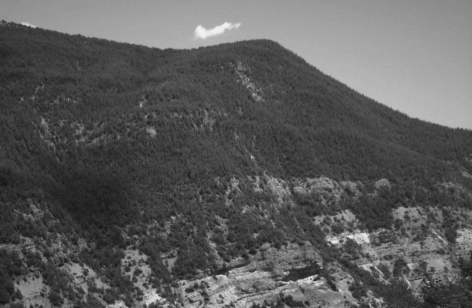 rcnx0063-(3).jpg
