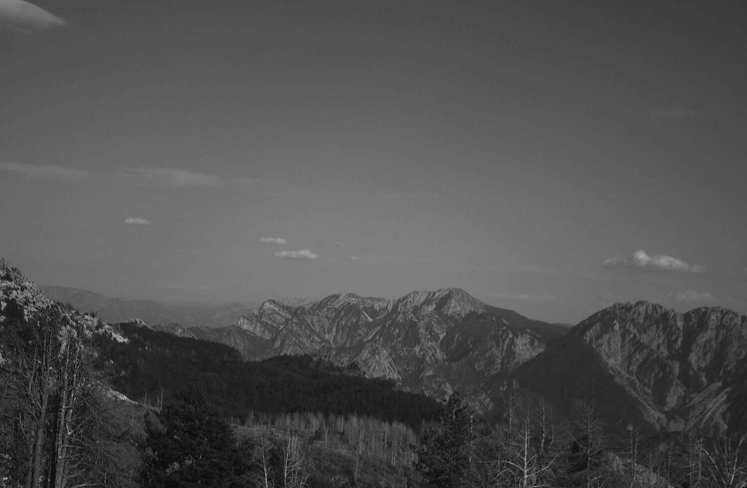 rcnx0063.jpg