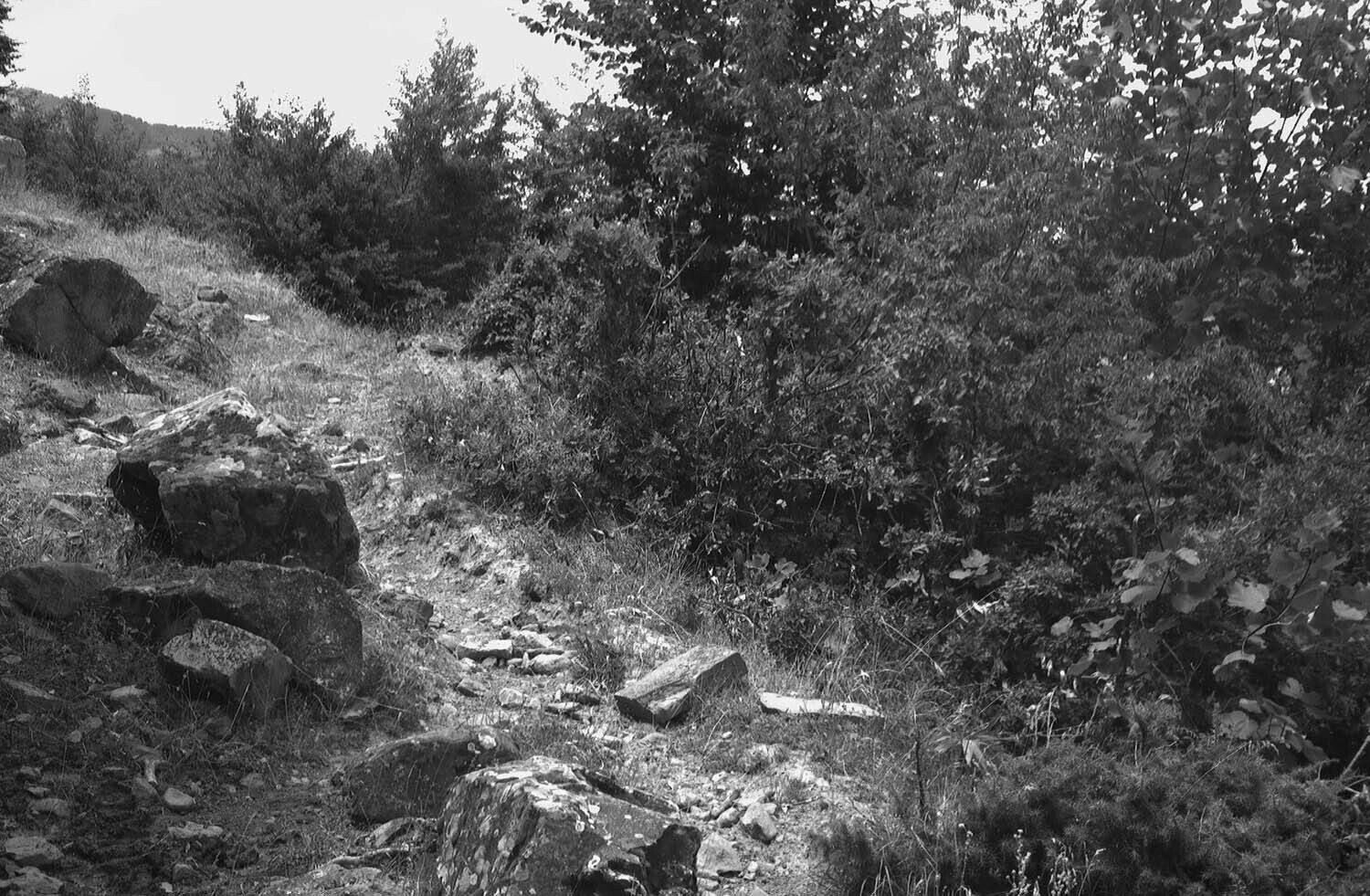 rcnx0064-(3).jpg