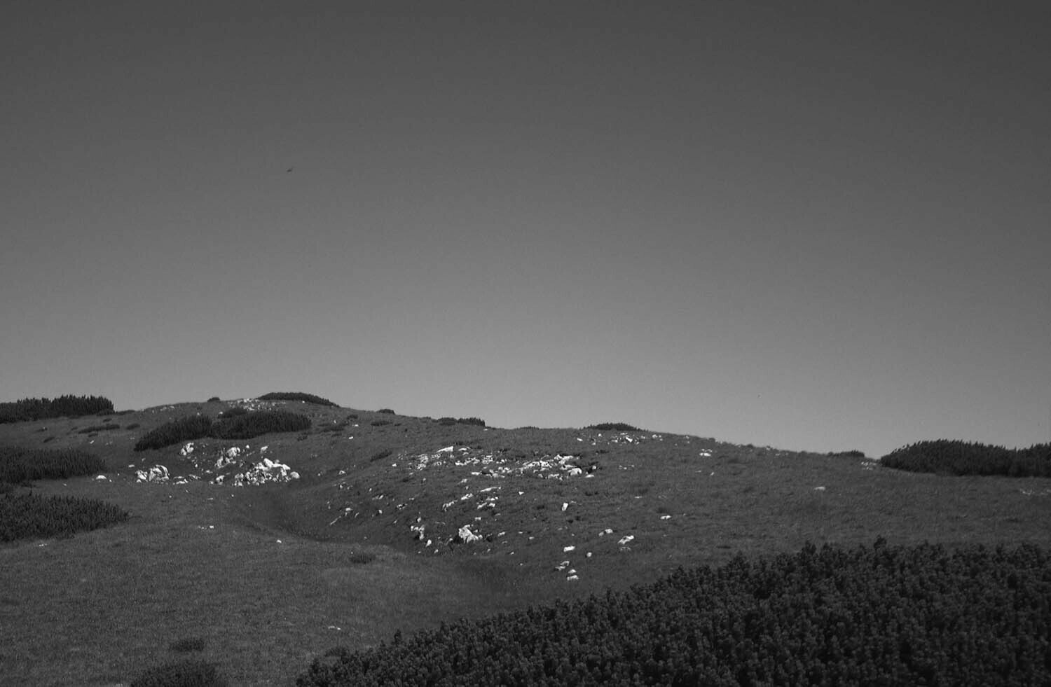 rcnx0074-(3).jpg