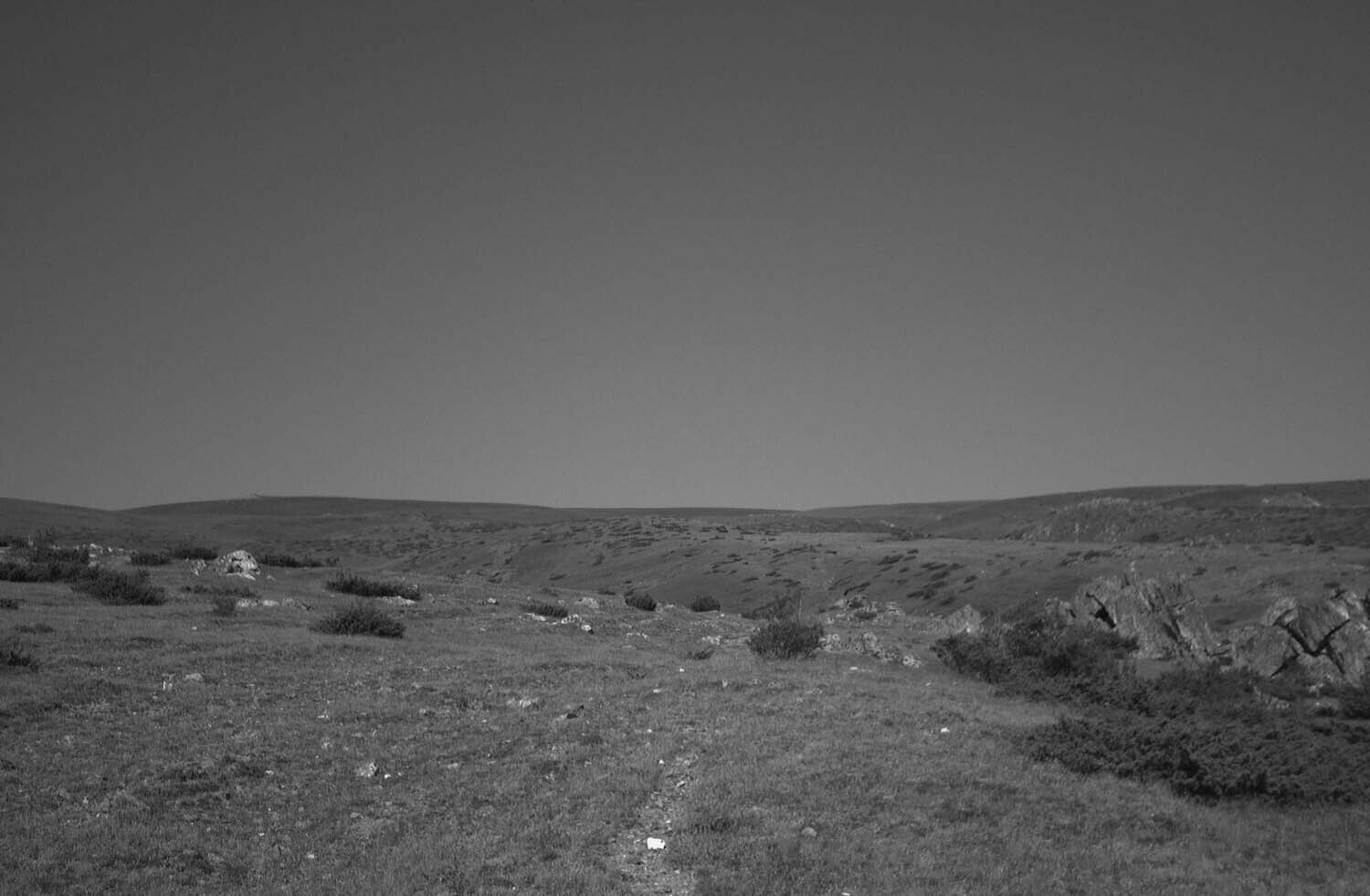 rcnx0082-(4).jpg