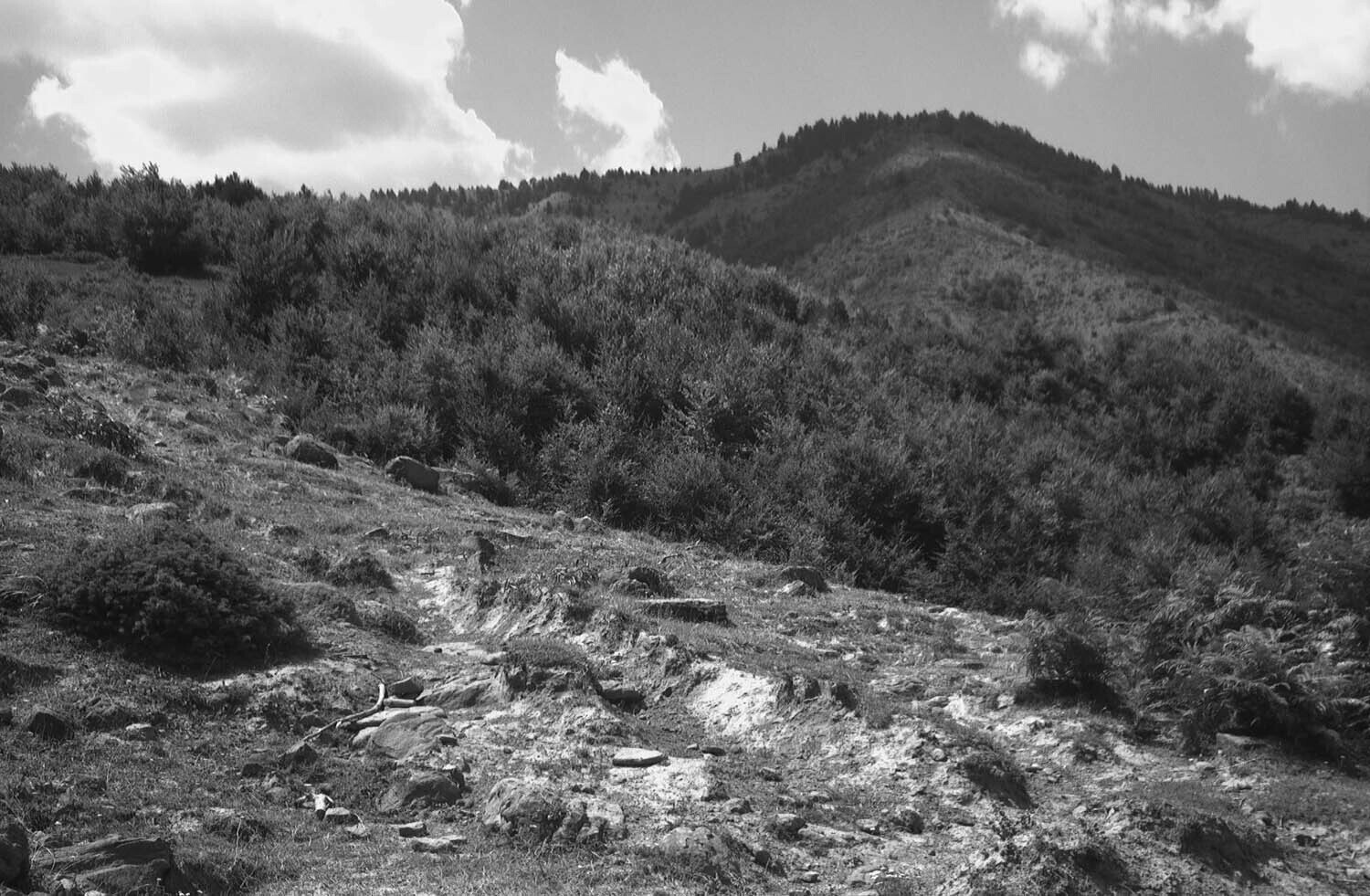rcnx0086-(4).jpg