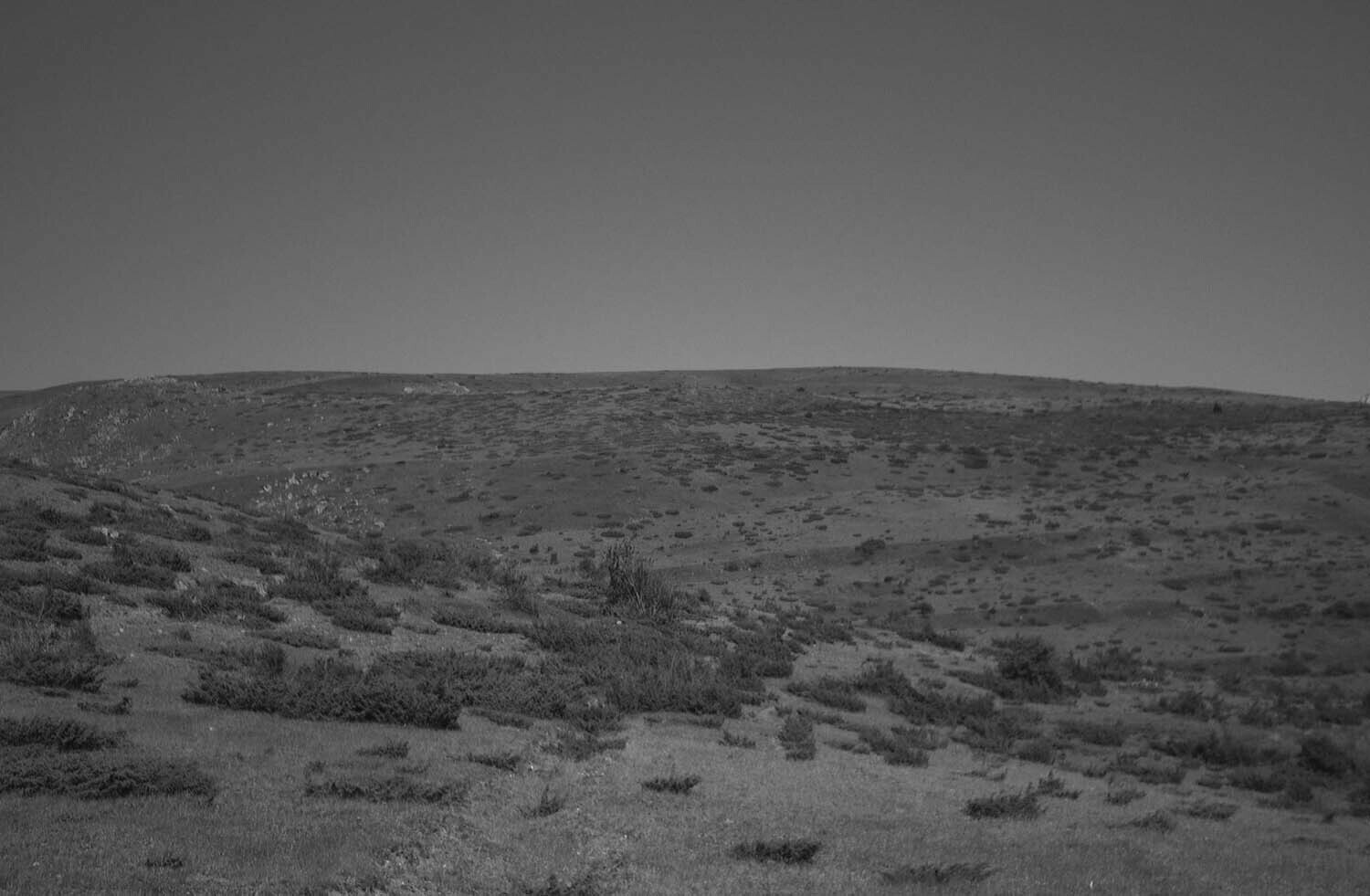 rcnx0089-(5).jpg