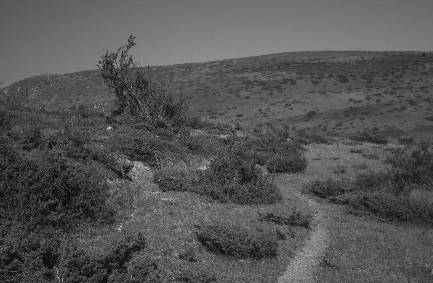 rcnx0090-(4).jpg