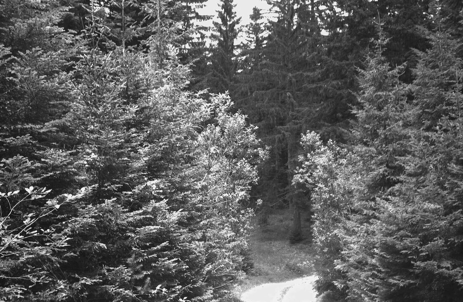 rcnx0091-(2).jpg