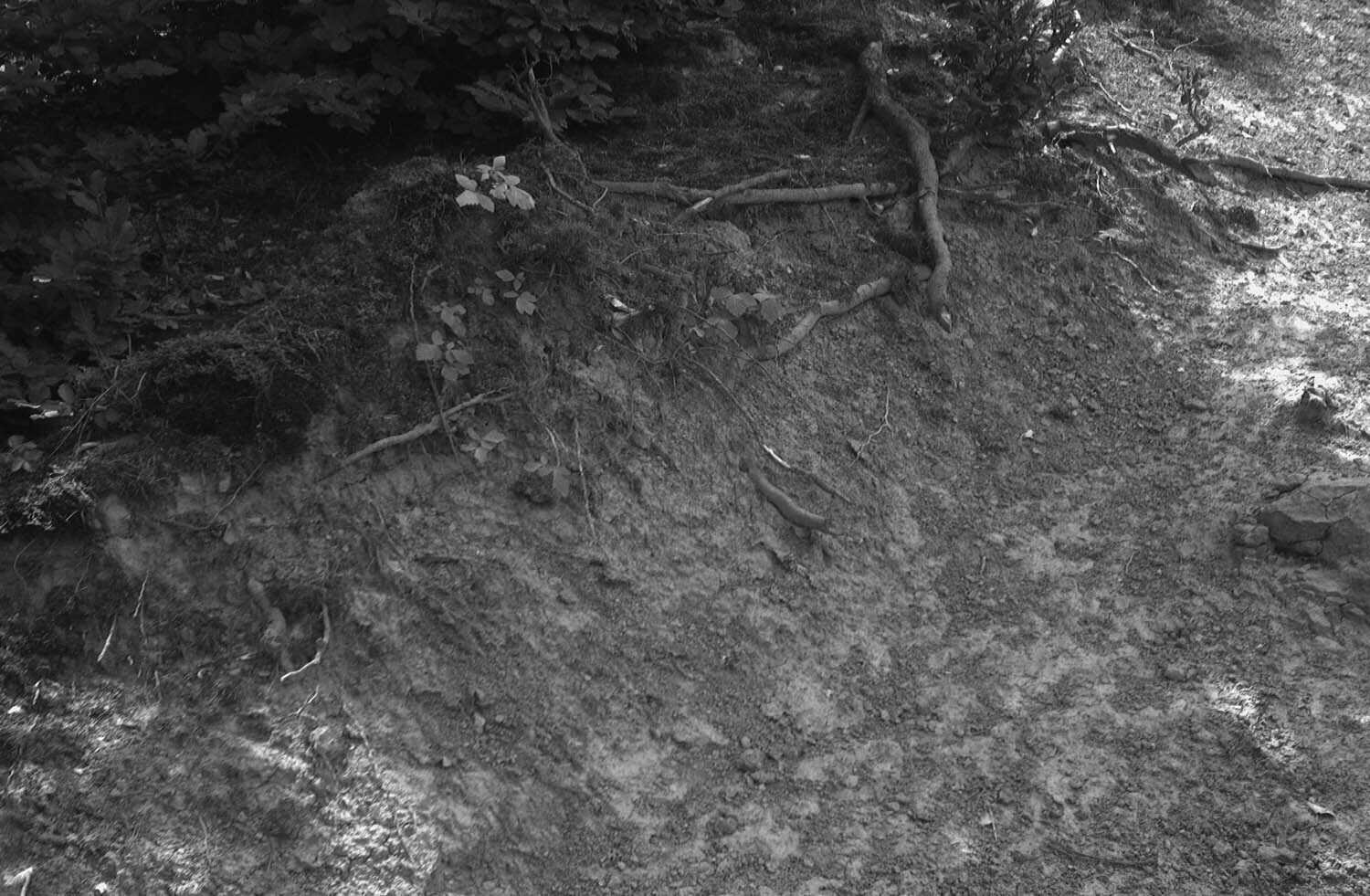 rcnx0094-(6).jpg