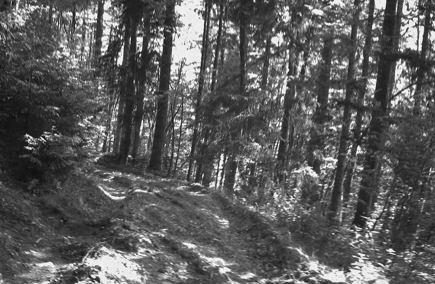 rcnx0094.jpg