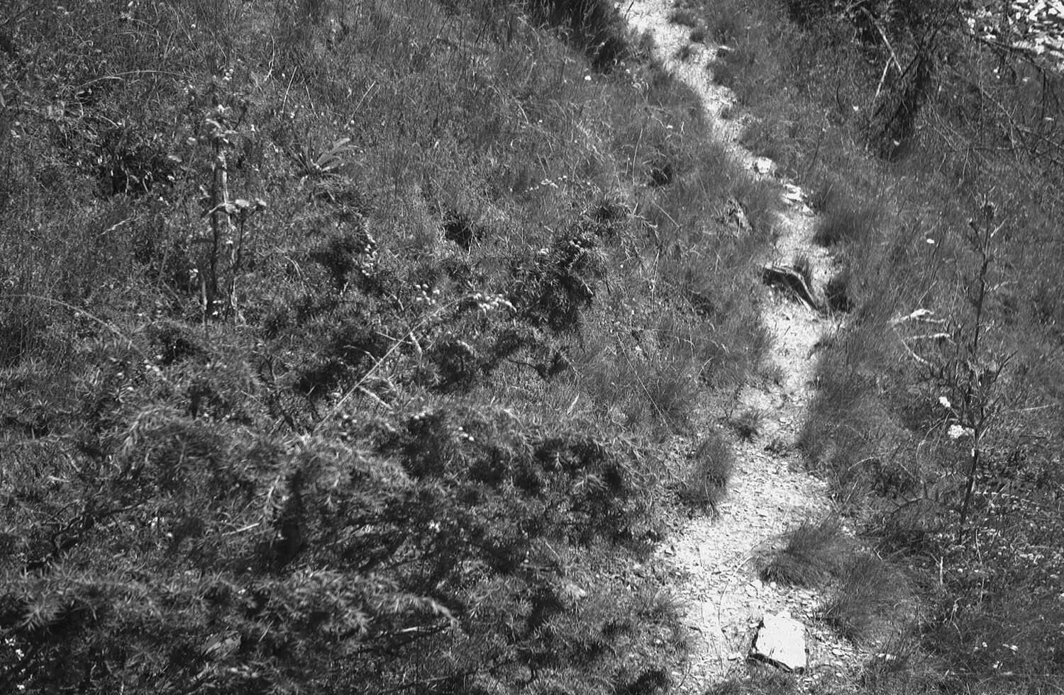 rcnx0097-(3).jpg