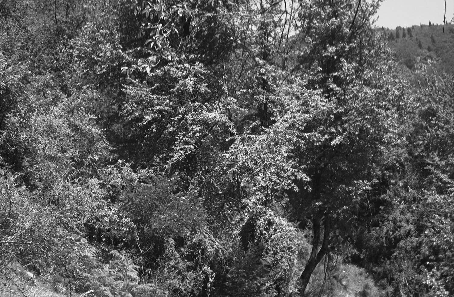 rcnx0103-(4).jpg