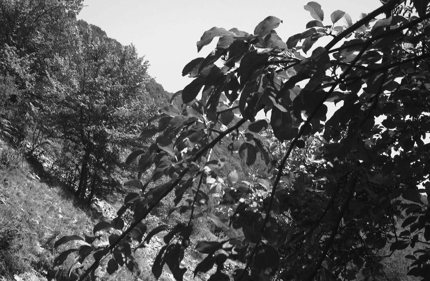 rcnx0105-(4).jpg