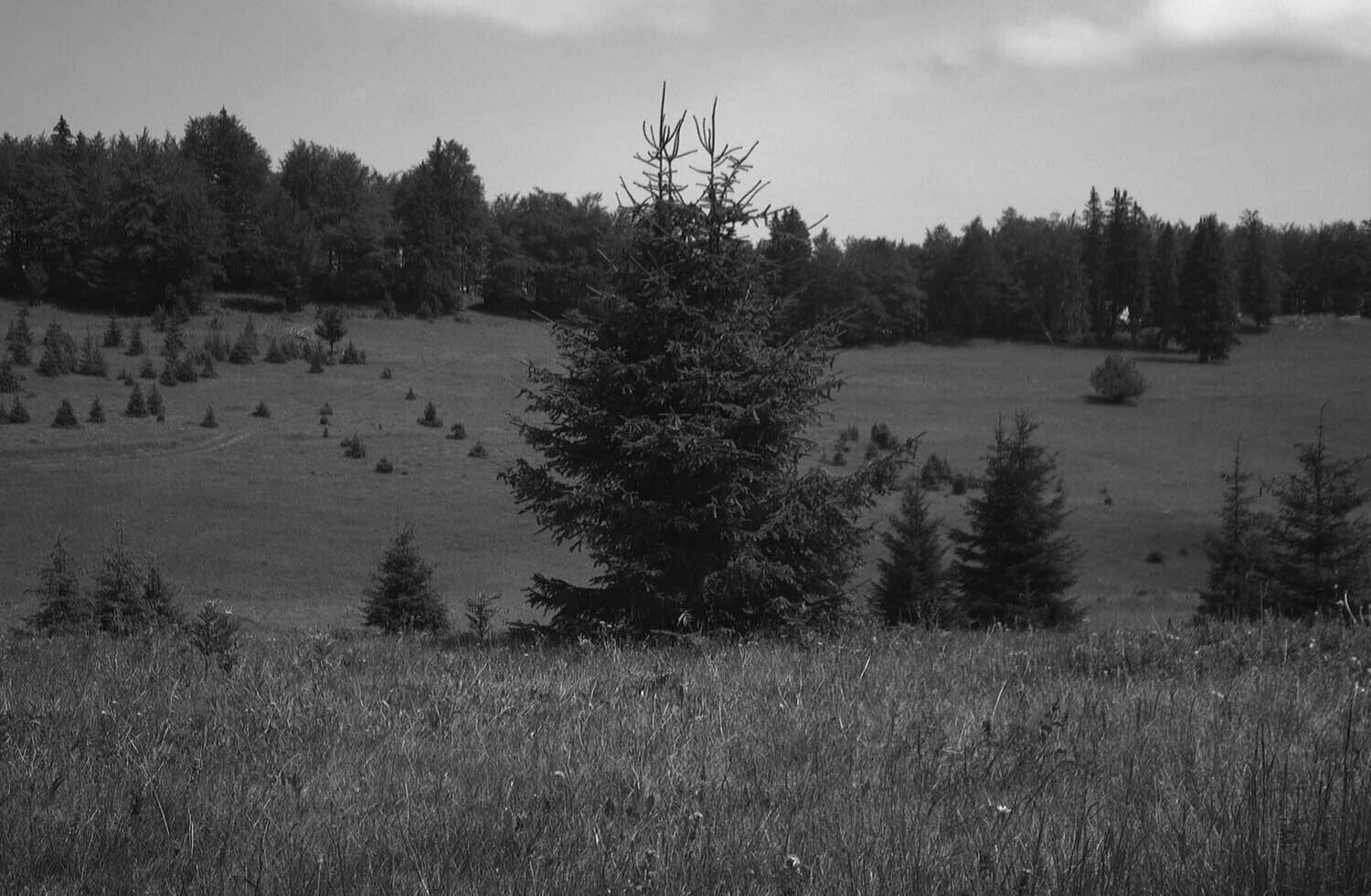rcnx0116.jpg