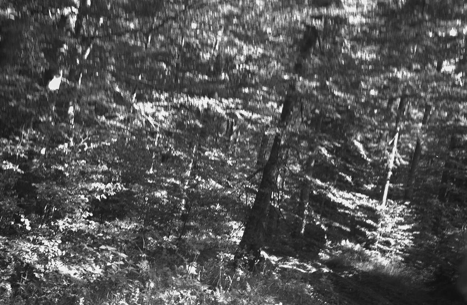 rcnx0118.jpg