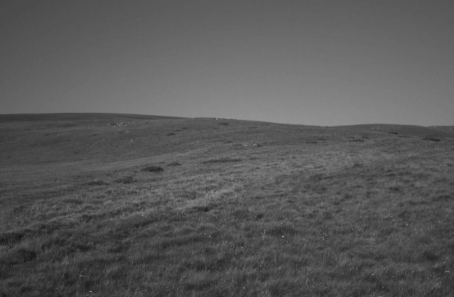 rcnx0127-(2).jpg