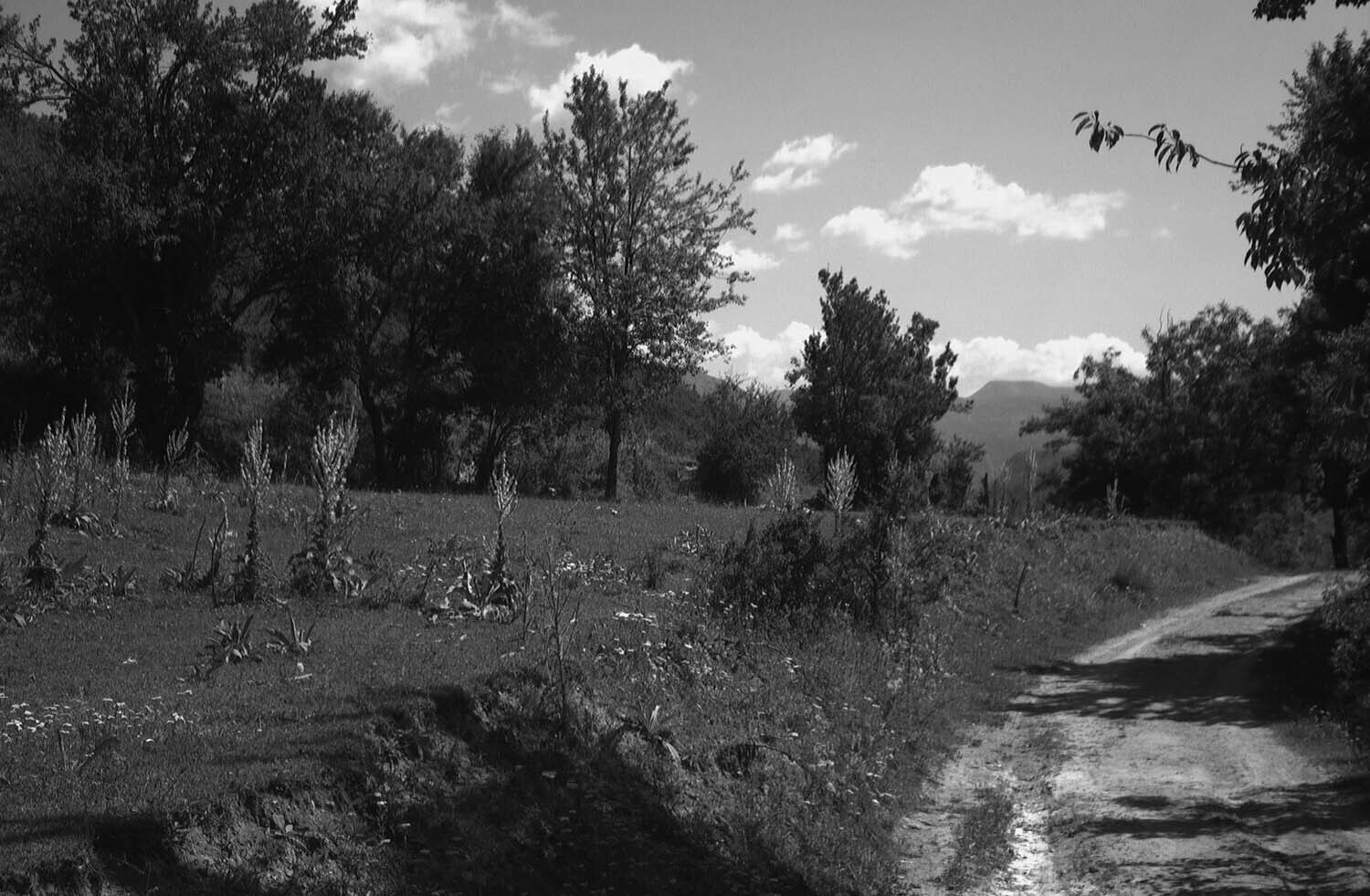 rcnx0135_1.jpg