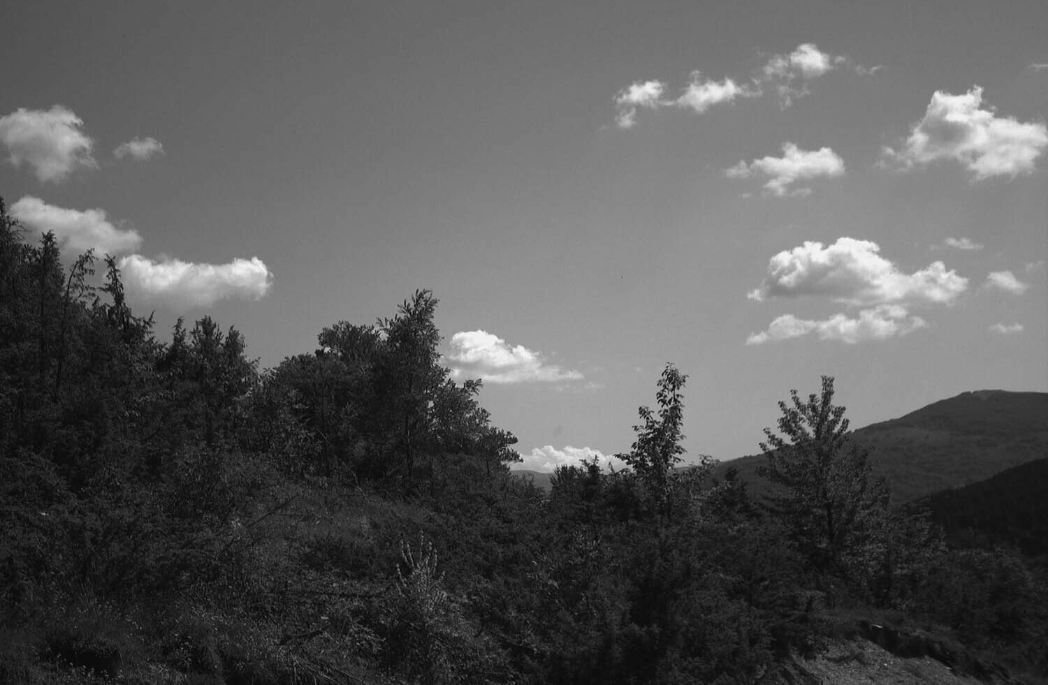 rcnx0137_1.jpg
