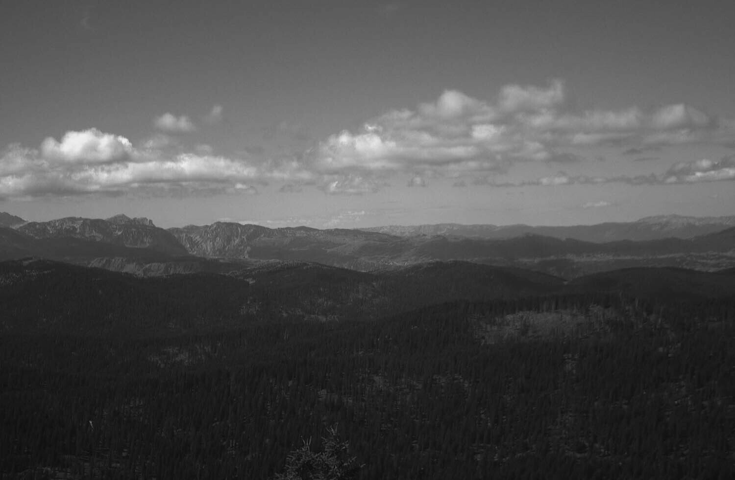 rcnx0138.jpg