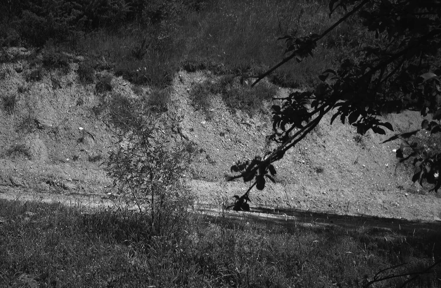 rcnx0139-(2).jpg
