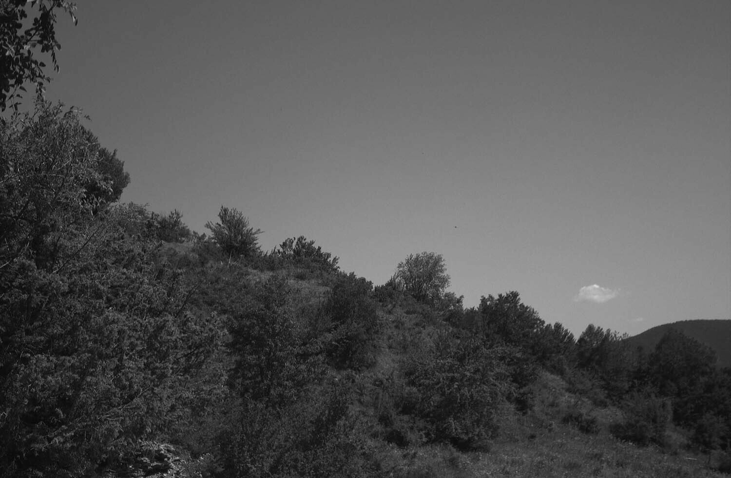 rcnx0142_1.jpg