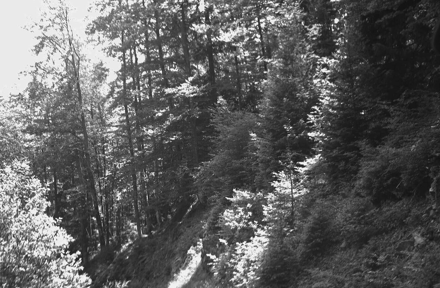 rcnx0143.jpg