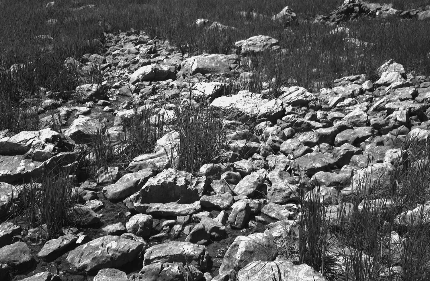 rcnx0145-(2).jpg