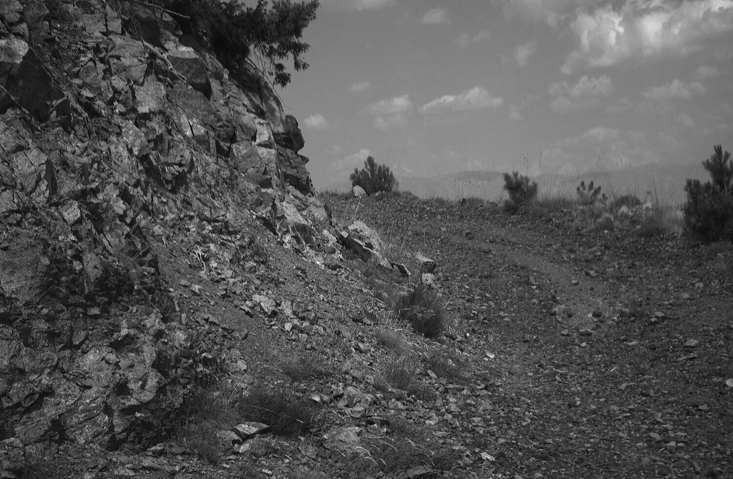 rcnx0159-(3).jpg