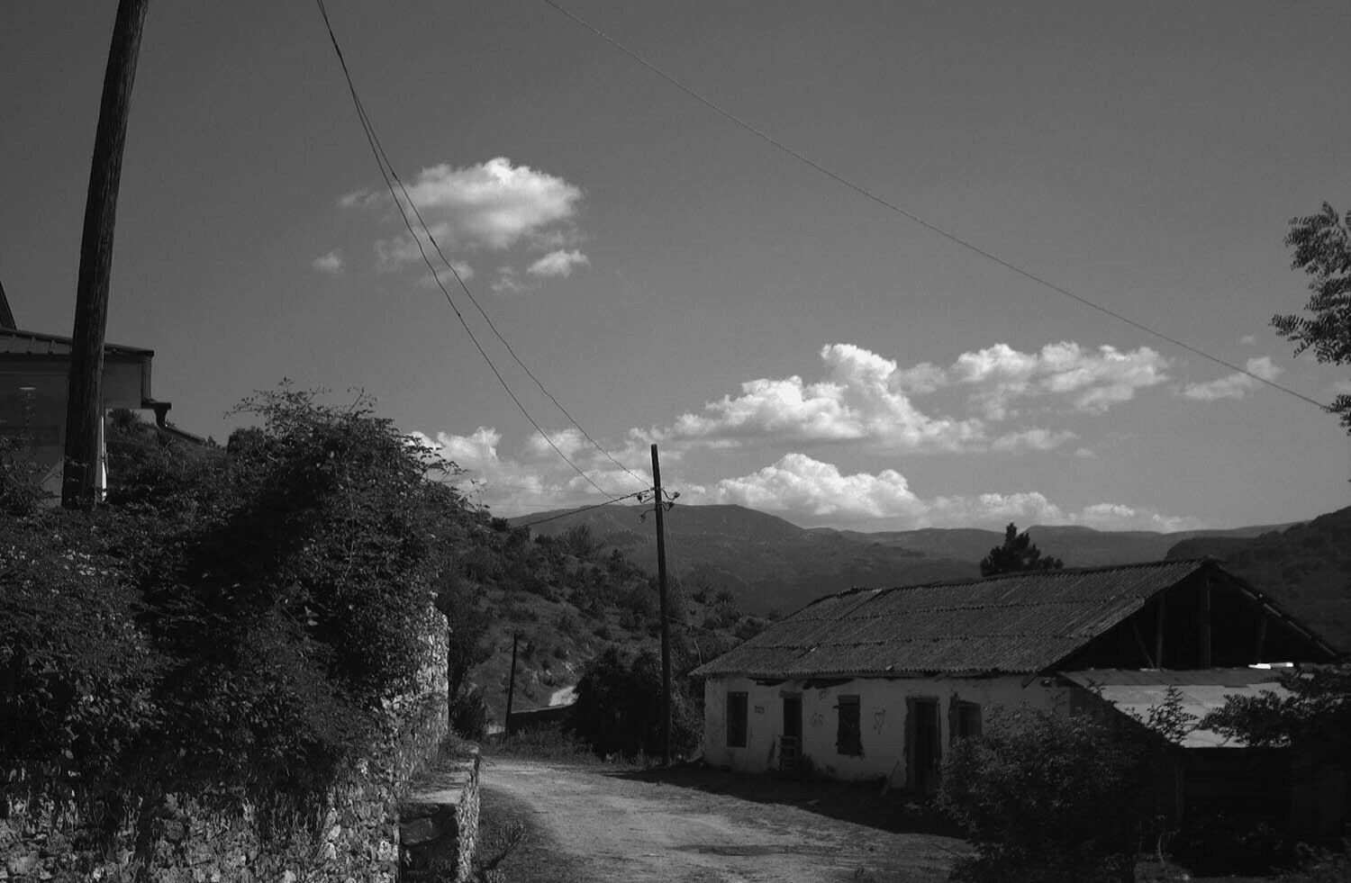 rcnx0165-(3).jpg
