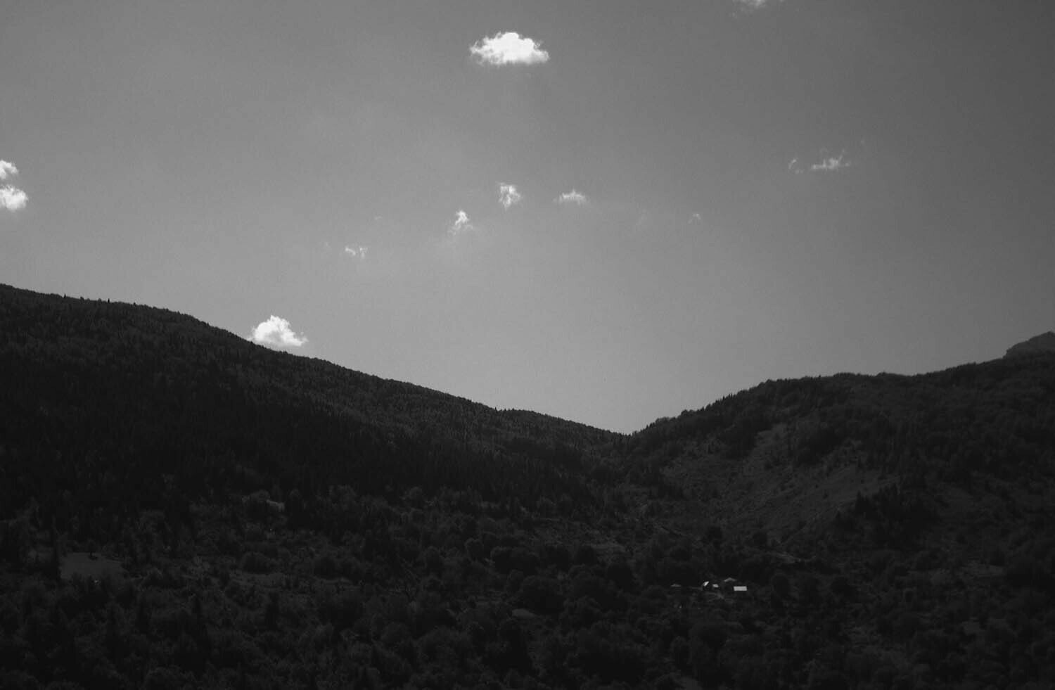 rcnx0174-(3).jpg