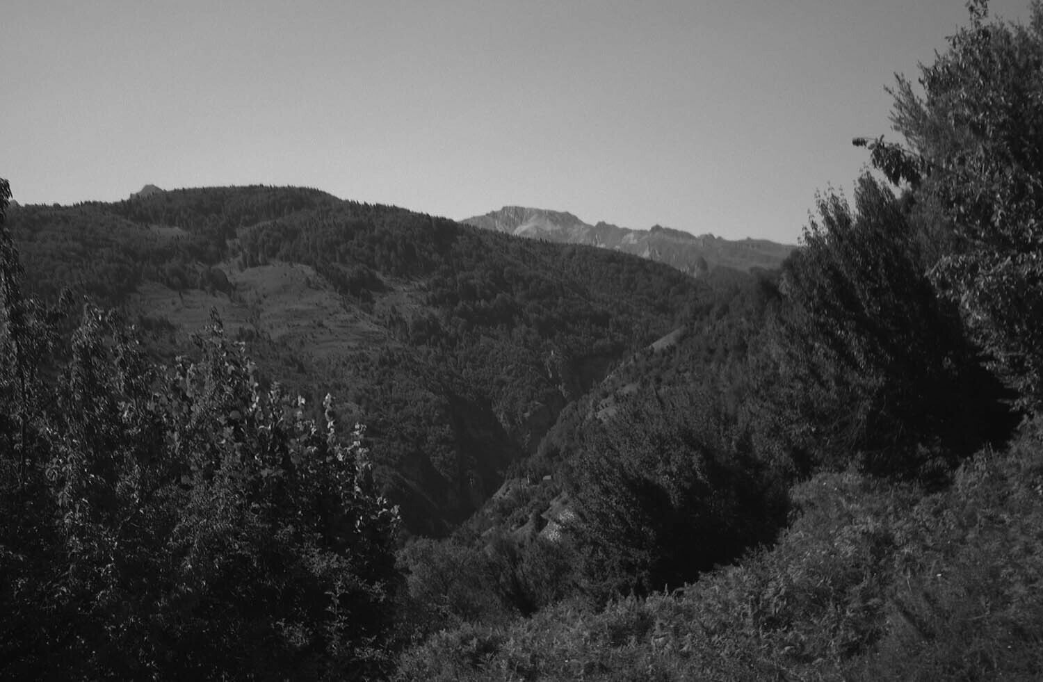 rcnx0183_1.jpg