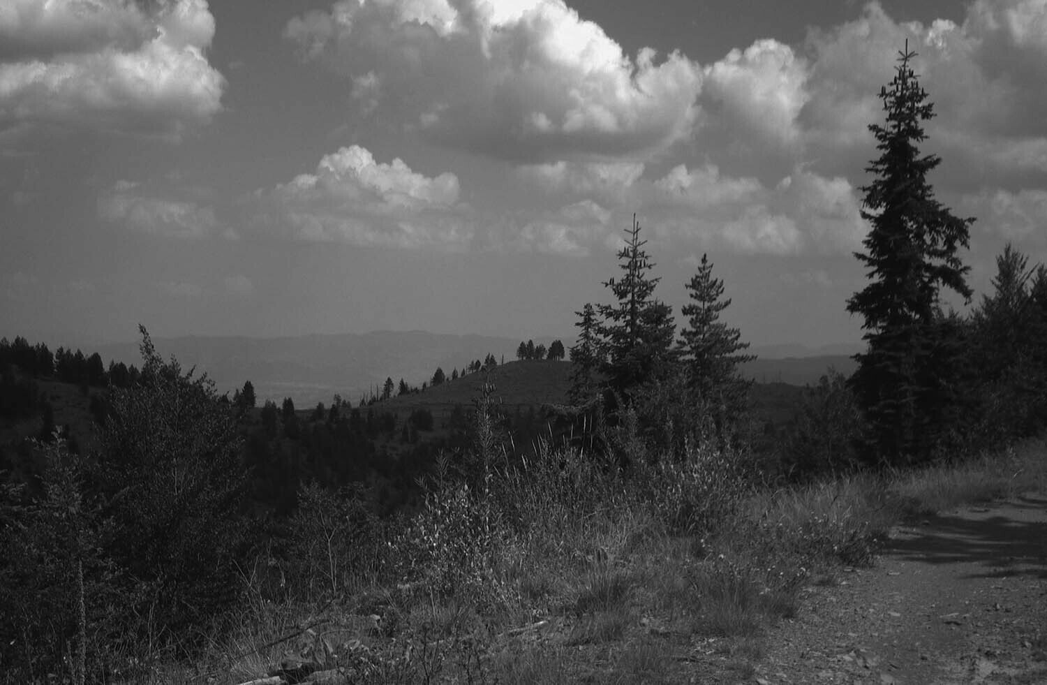 rcnx0187-(3).jpg