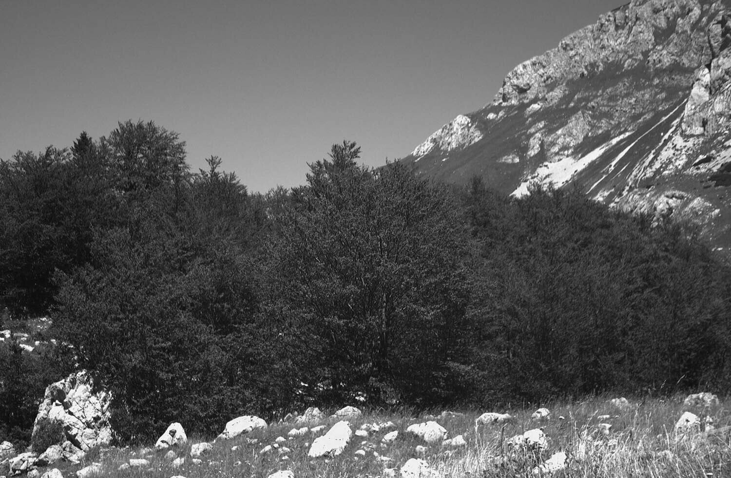 rcnx0197-(1).jpg