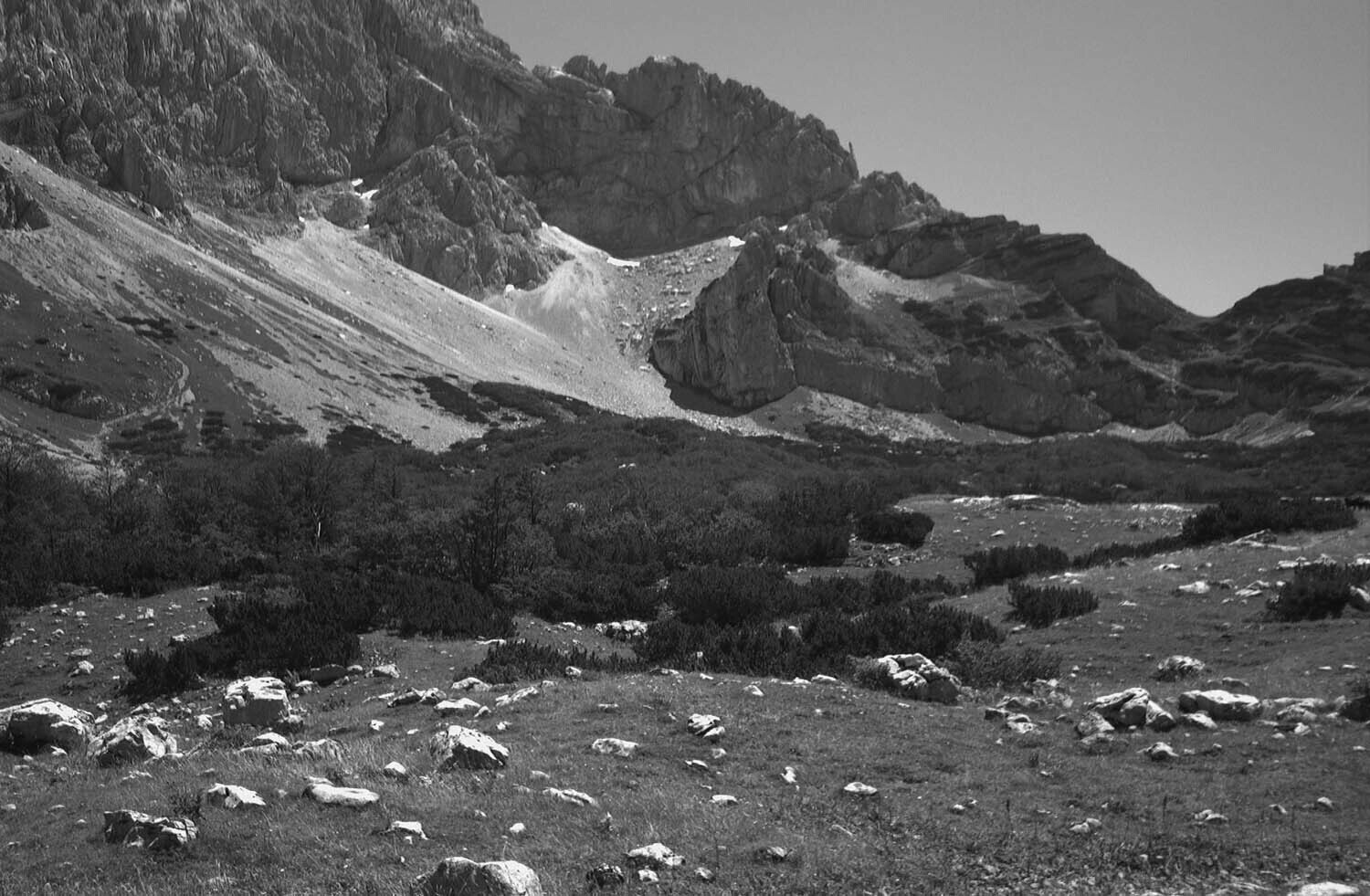 rcnx0203-(1).jpg