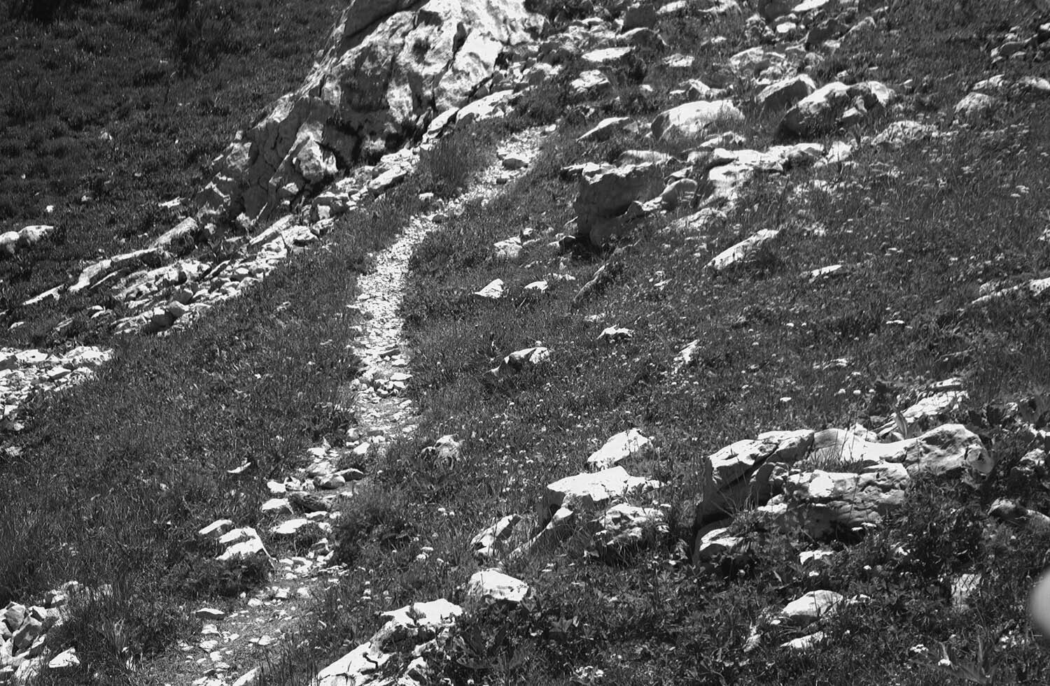 rcnx0228-(2).jpg