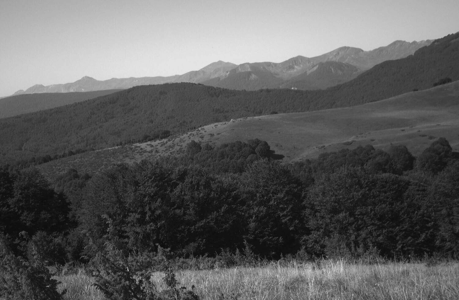 rcnx0231-(3).jpg