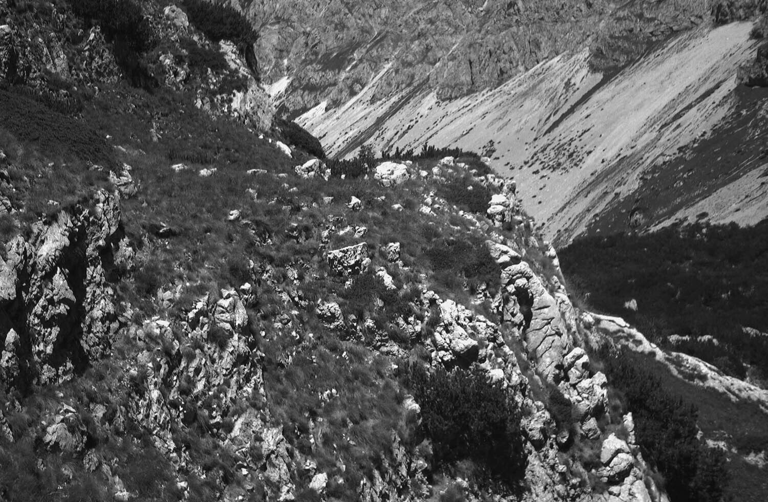 rcnx0243.jpg