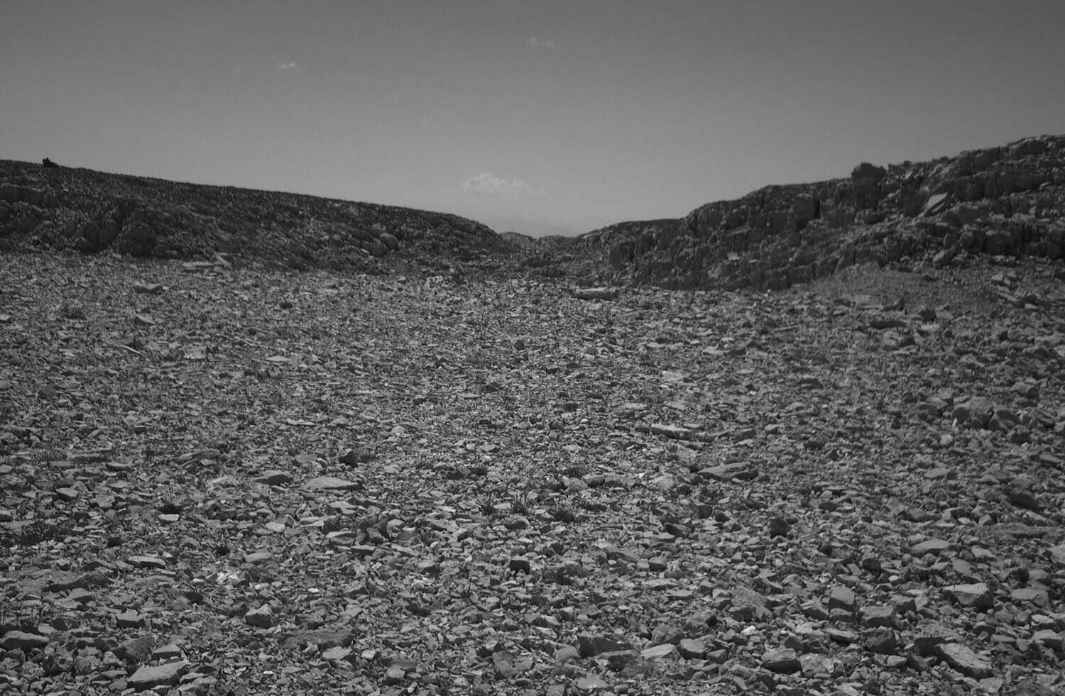 rcnx0257.jpg