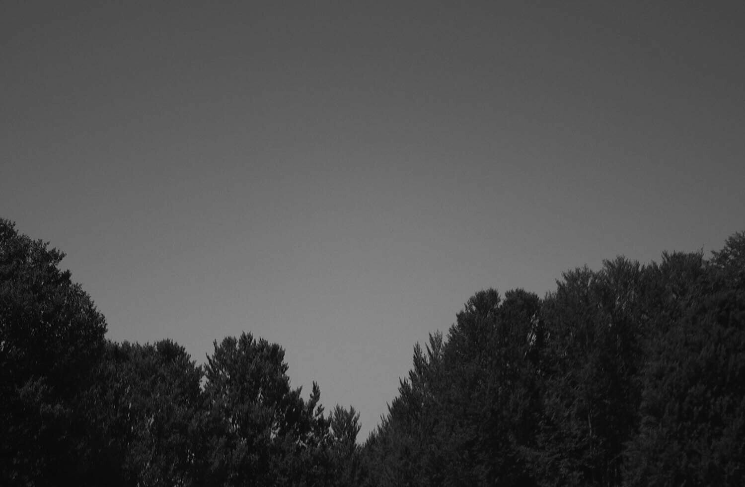 rcnx0264-(4).jpg