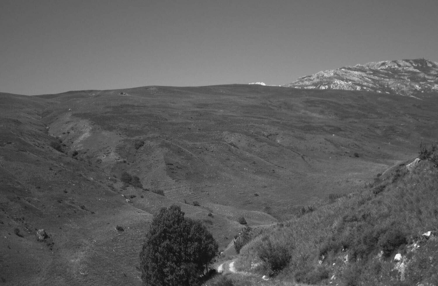 rcnx0268-(2).jpg