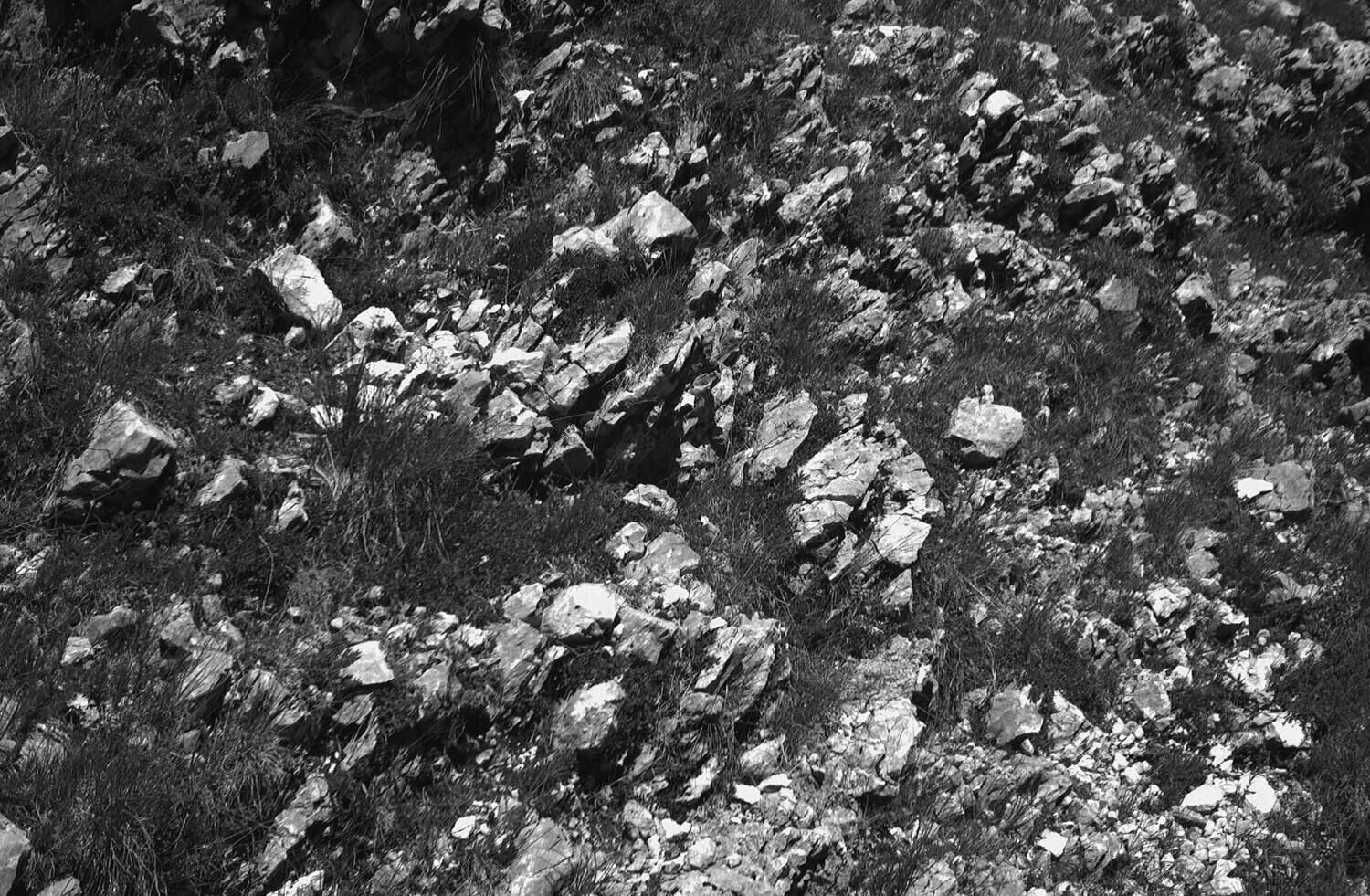 rcnx0270-(2).jpg