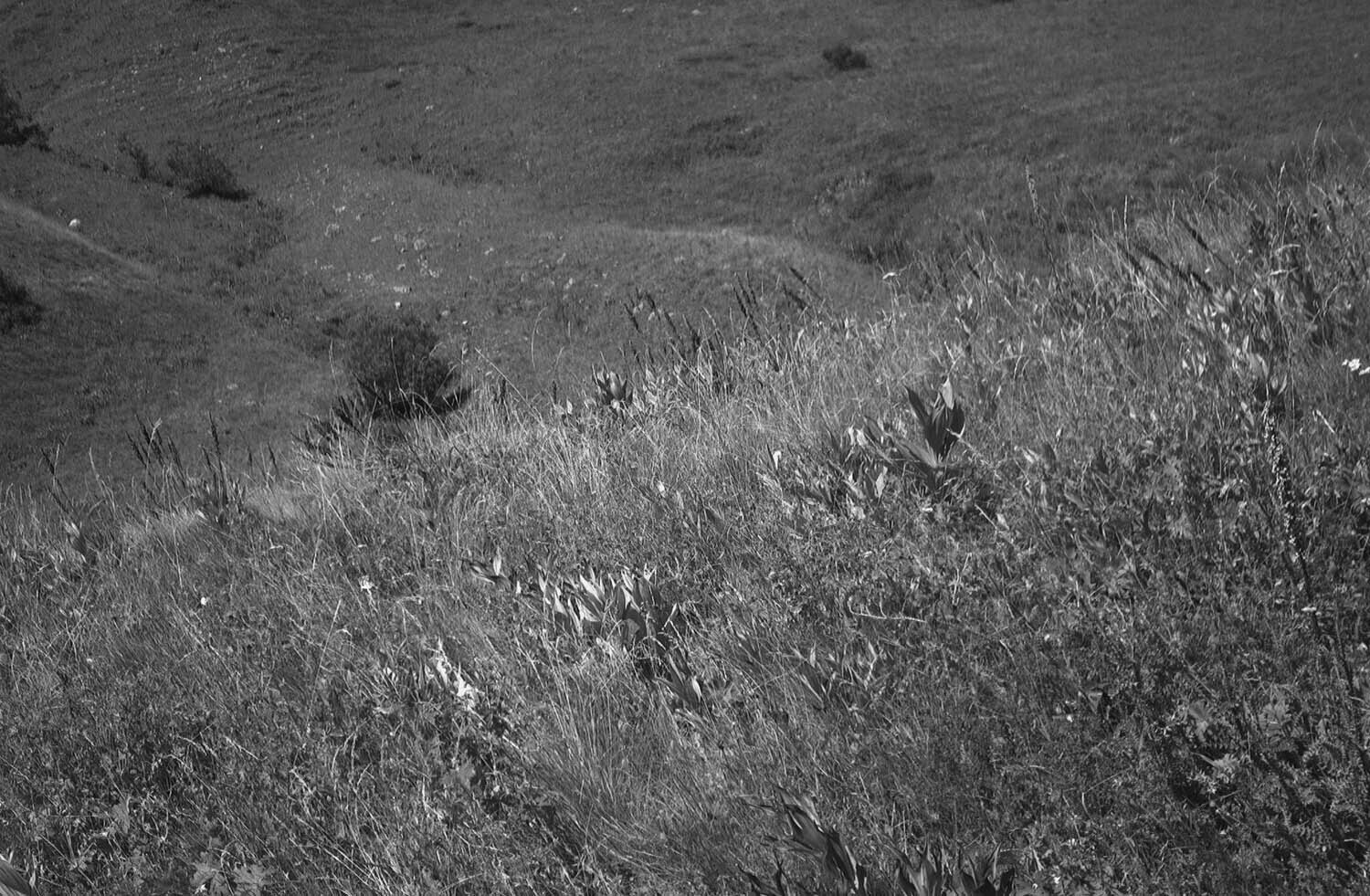 rcnx0272-(2).jpg