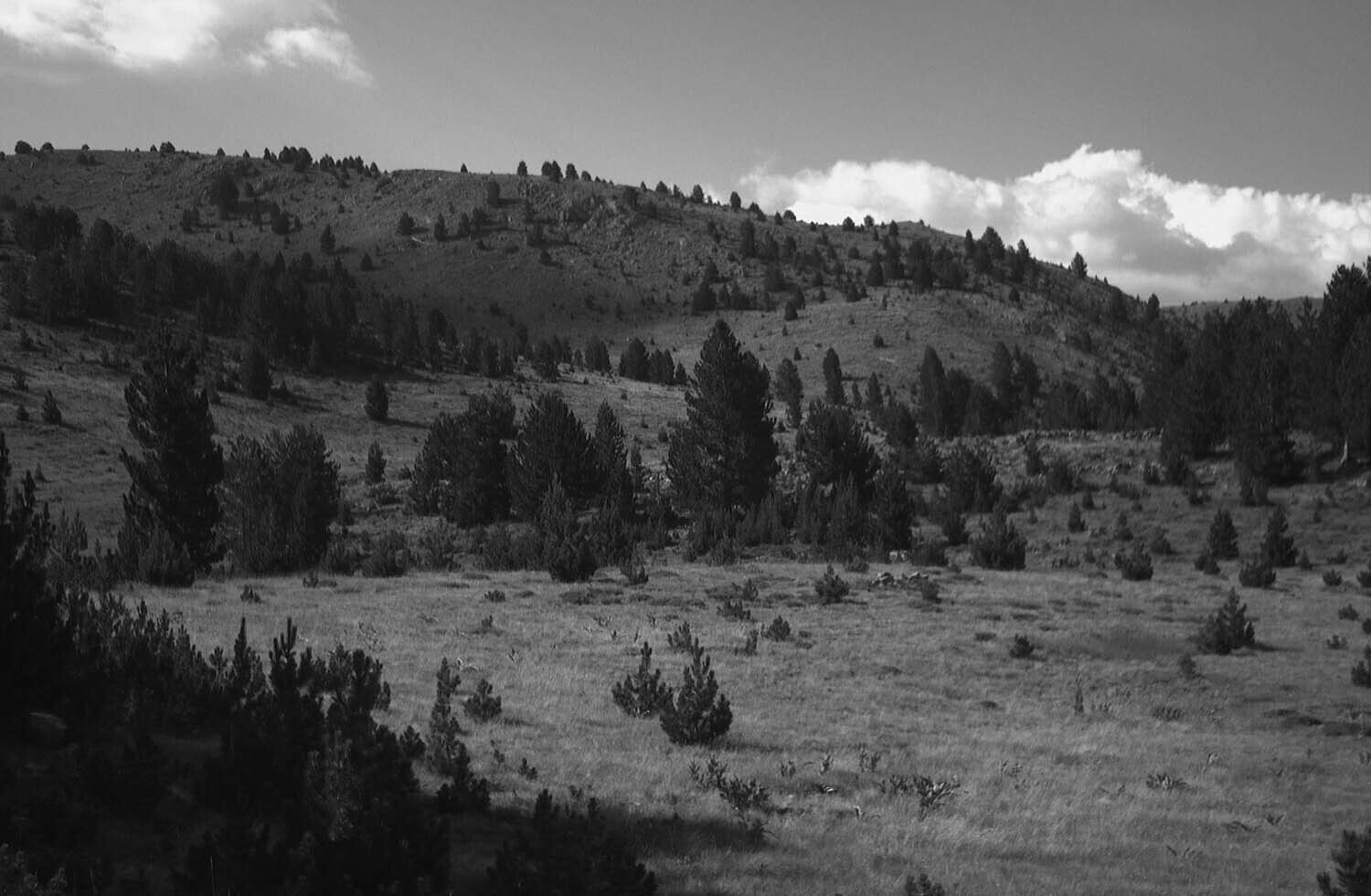 rcnx0275.jpg