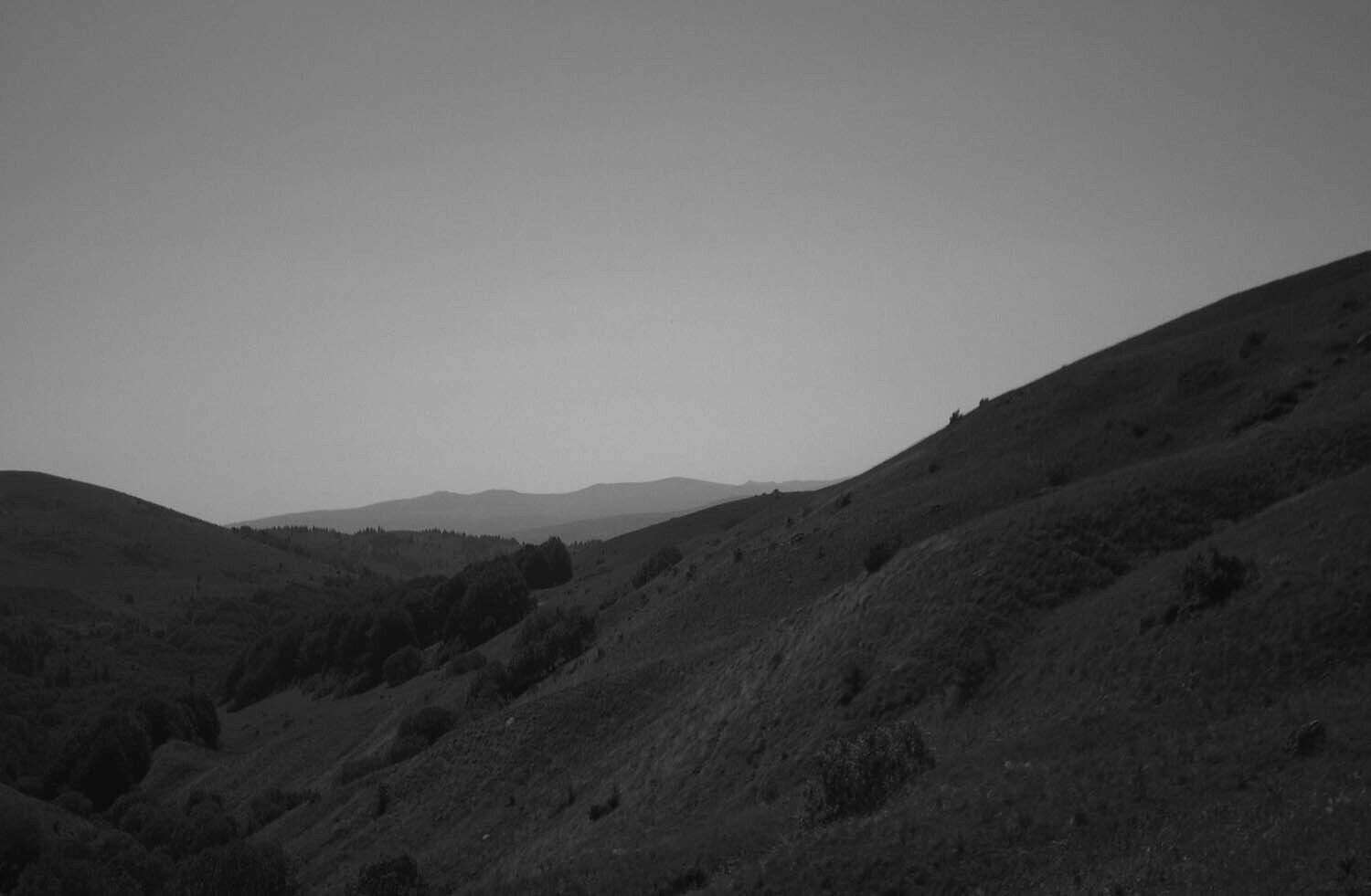 rcnx0282-(2).jpg