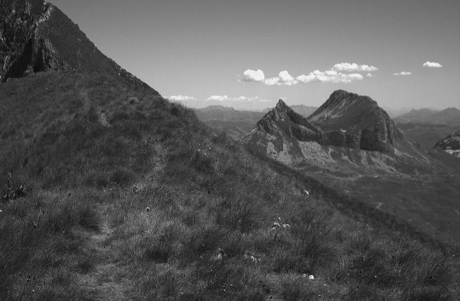 rcnx0288-(2).jpg