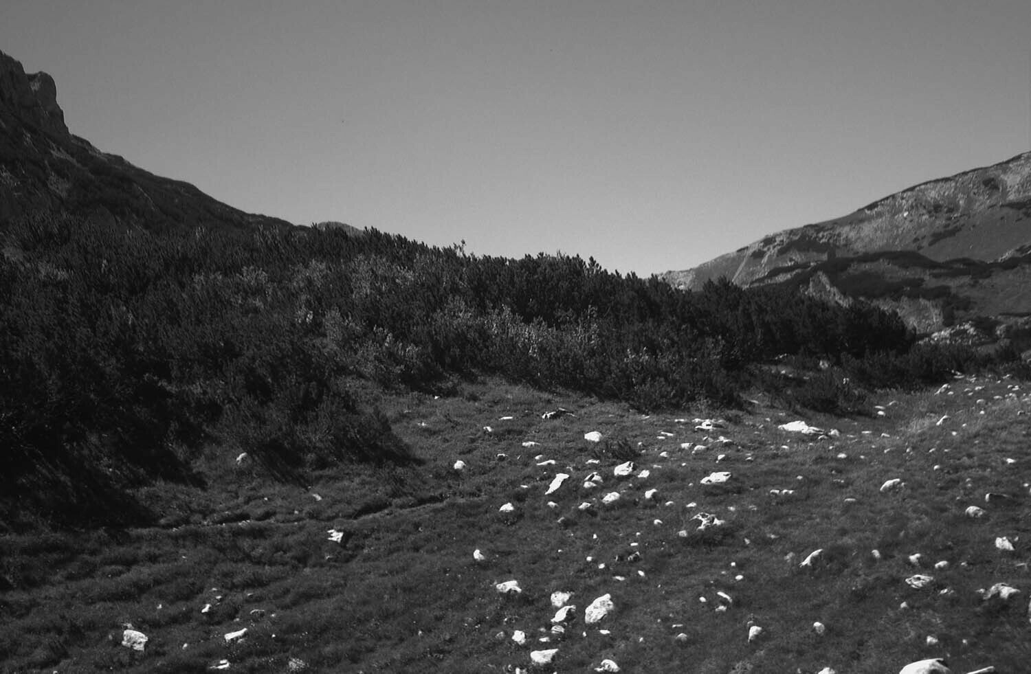rcnx0295-(2).jpg