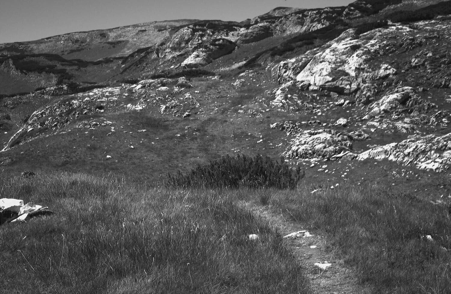 rcnx0296-(1).jpg